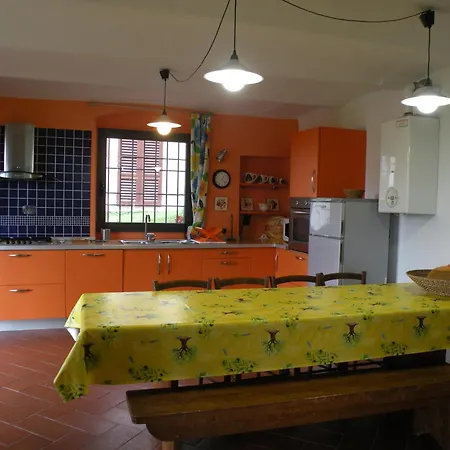 Chiantihouse With Garden And Wifi Tatil Evi
